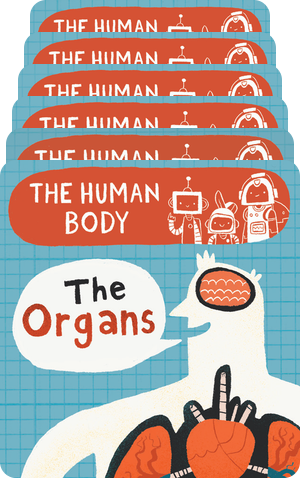 BrainBots: The Human Body